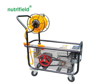 Garden 6.5hp Recoil Start 25mm Direct and Coupled Connection Gasoline Power Sprayer