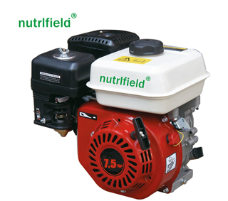 7.5HP Gasoline Engine 170FA