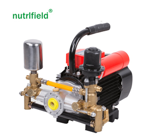Agriculture Portable Electric AC Motor Sprayer with Plunger Brass Pump and Competitive Price
