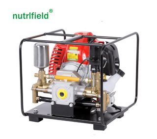 2 Stroke/4 Stroke Petrol Engine Portable Power Agriculture Sprayer